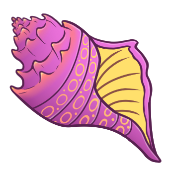 Lavender Conch Shell