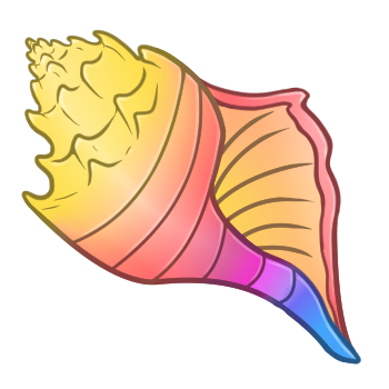 Warm Rainbow Conch Shell