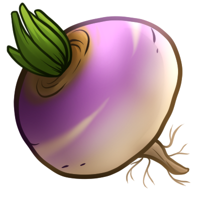 Turnip